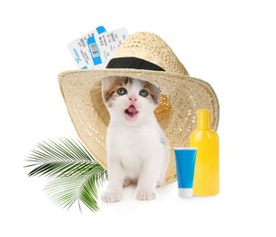 Cute kitten and summer vacation items on white background. Travelling with pet