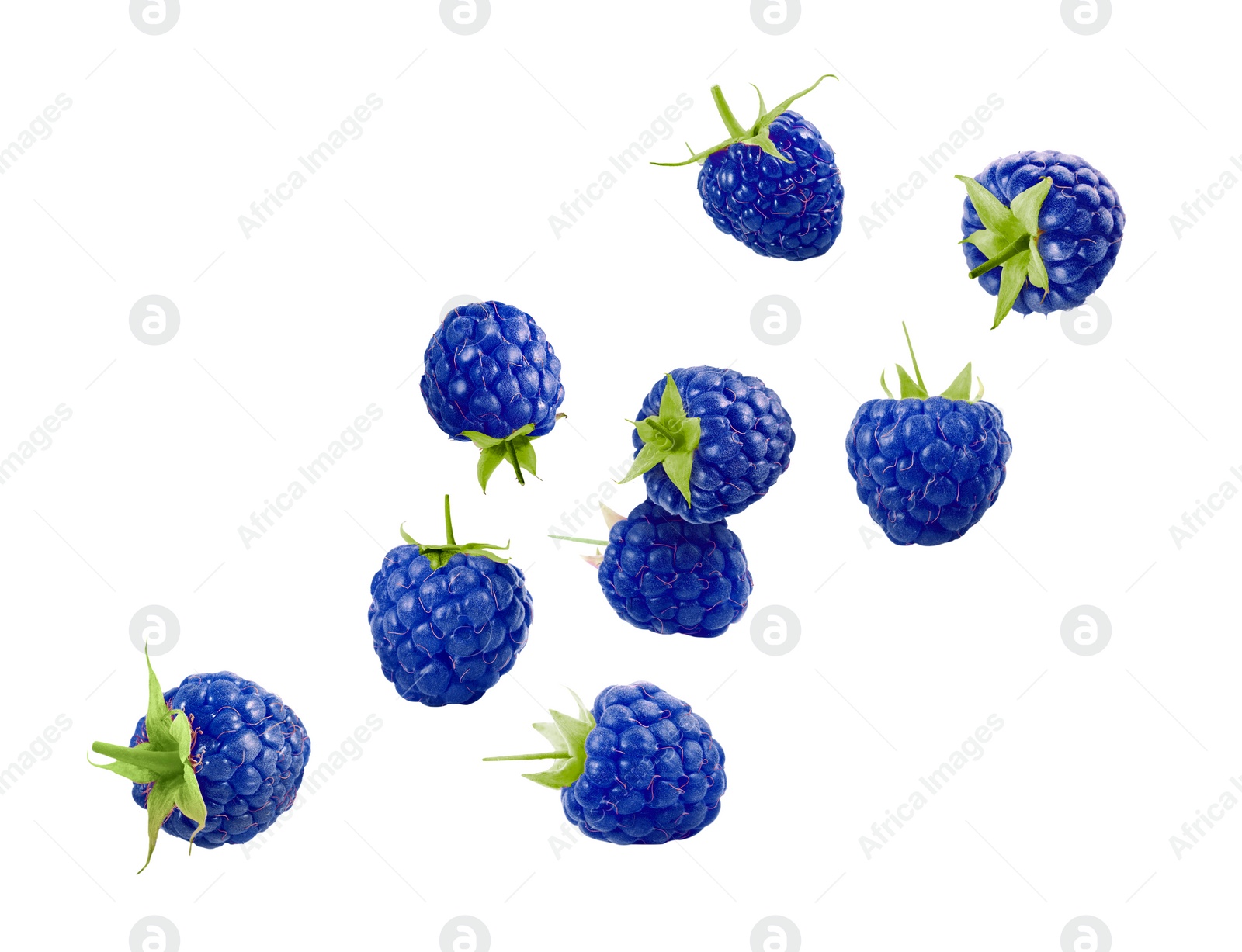 Image of Many fresh blue raspberries falling on white background