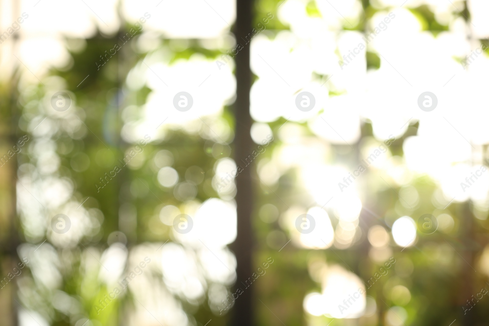 Photo of Blurred view through window on garden in morning