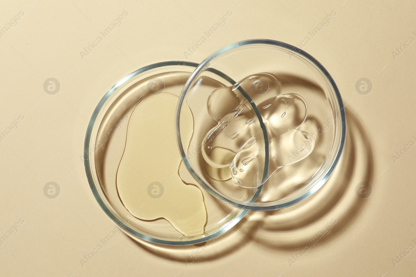 Photo of Petri dishes and cosmetic products on beige background, flat lay