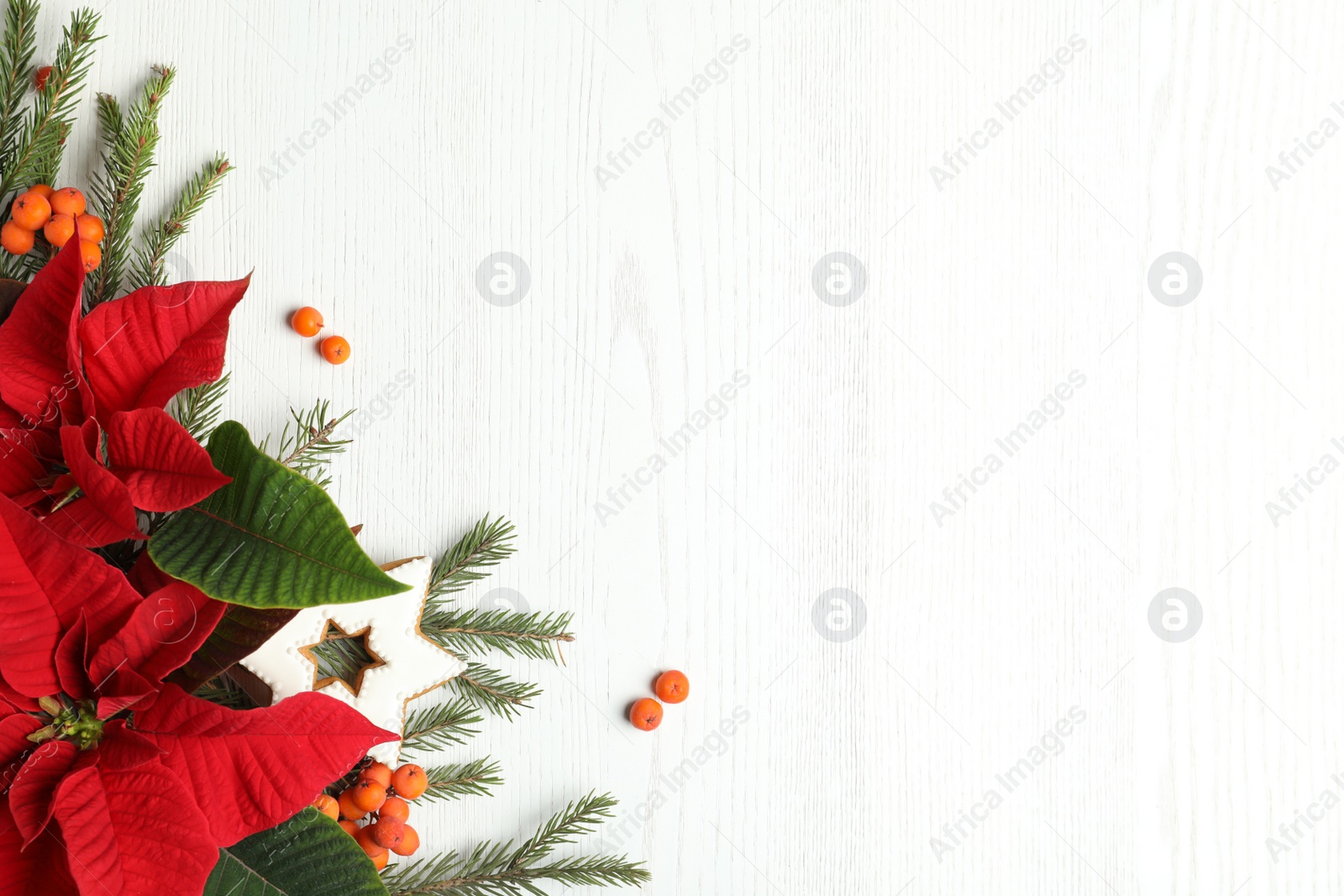 Photo of Flat lay composition with poinsettias (traditional Christmas flowers) and fir branches on white wooden table. Space for text