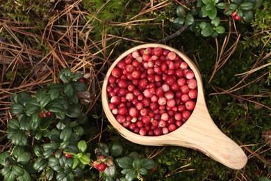 Photo of Many ripe lingonberries in wooden cup outdoors, top view