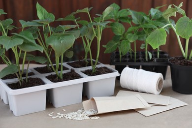 Photo of Vegetable seedlings growing in plastic containers with soil and seeds on table, closeup