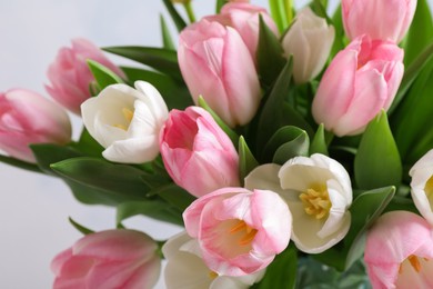 Big bouquet of beautiful tulips, closeup view