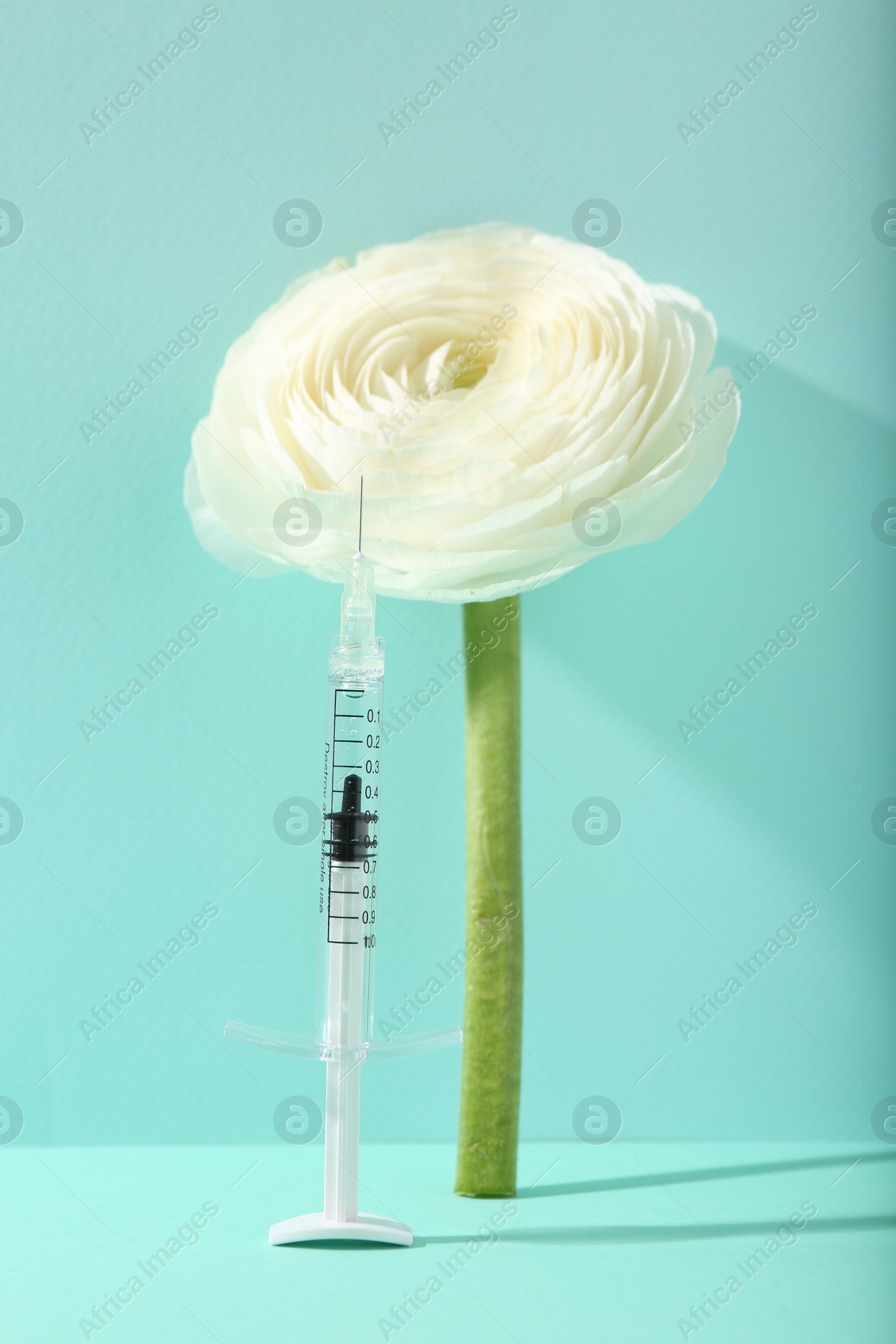 Photo of Cosmetology. Medical syringe and ranunculus flower on turquoise background