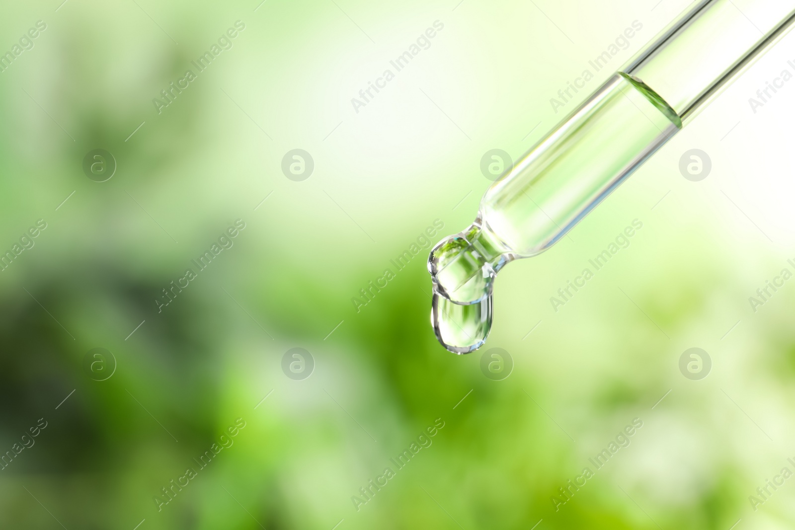 Photo of Pipette with essential oil on blurred background. Space for text