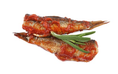 Photo of Tasty canned sprats with tomato sauce and rosemary isolated on white, top view