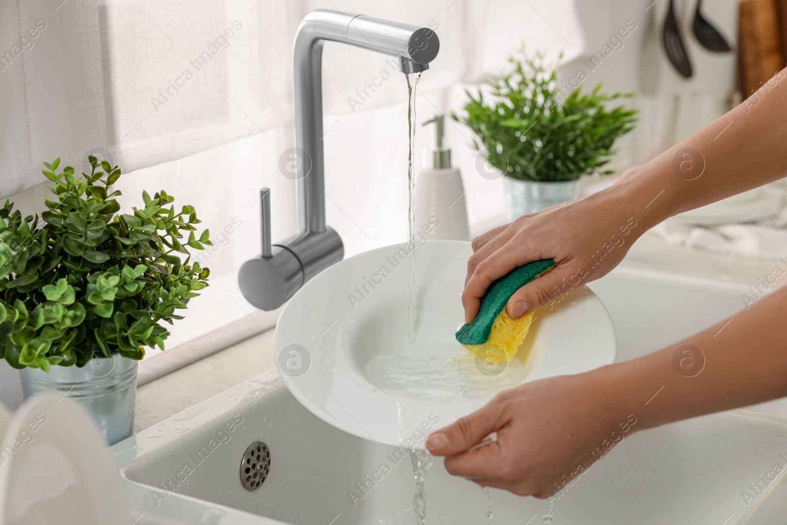 Photo of Woman washing plate at sink in kitchen, closeup