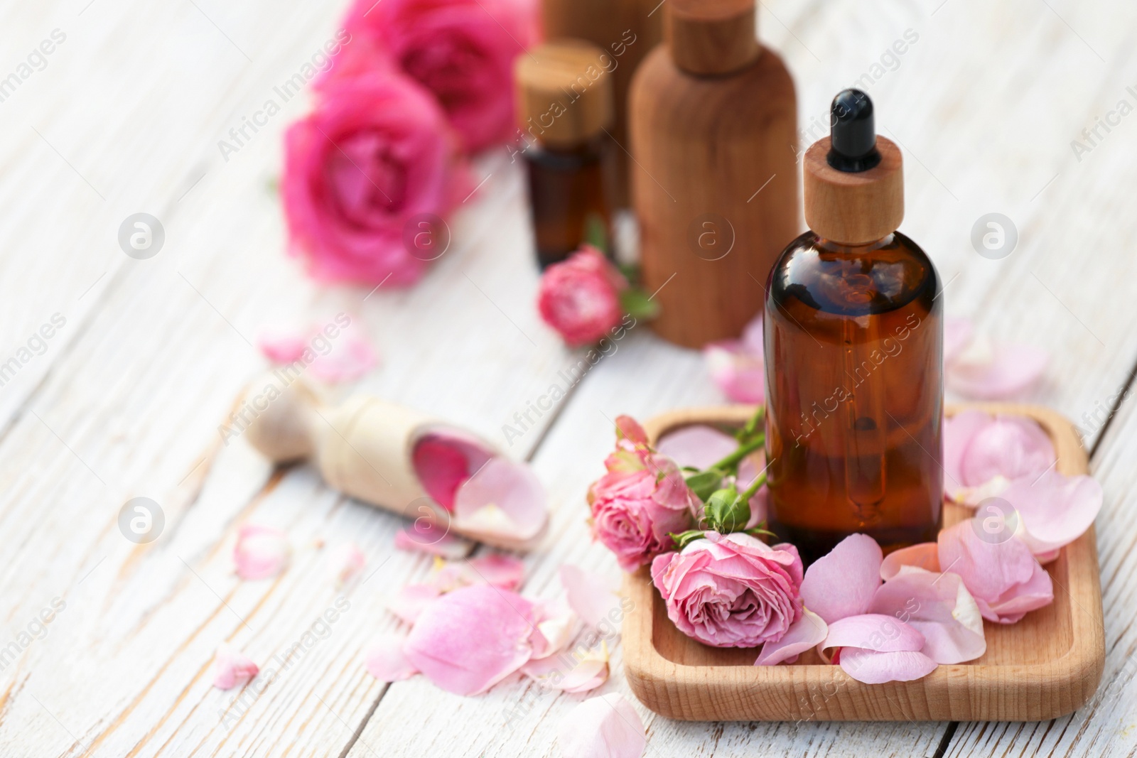 Photo of Rose essential oil and flowers on white wooden table, space for text