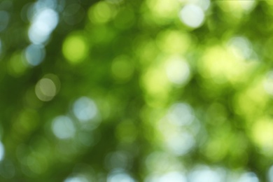 Photo of Blurred view of abstract green background. Bokeh effect