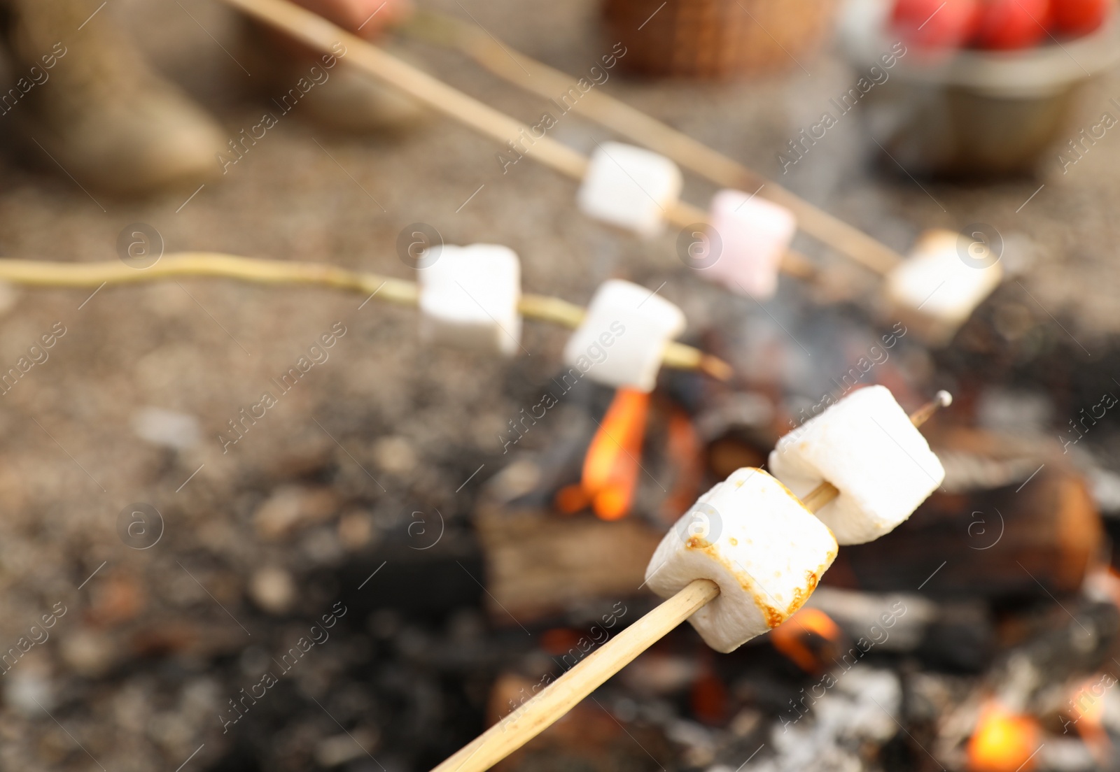 Photo of Frying marshmallow on bonfire outdoors. Camping season