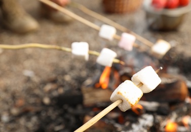 Photo of Frying marshmallow on bonfire outdoors. Camping season