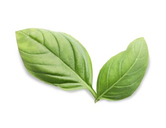 Photo of Aromatic green basil leaves isolated on white. Fresh herb