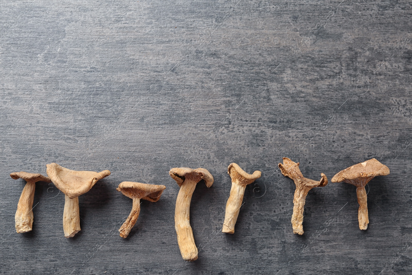 Photo of Flat lay composition of dried mushrooms on color background. Space for text