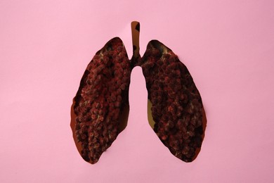 Top view of sumac through pink paper with human lungs shaped hole