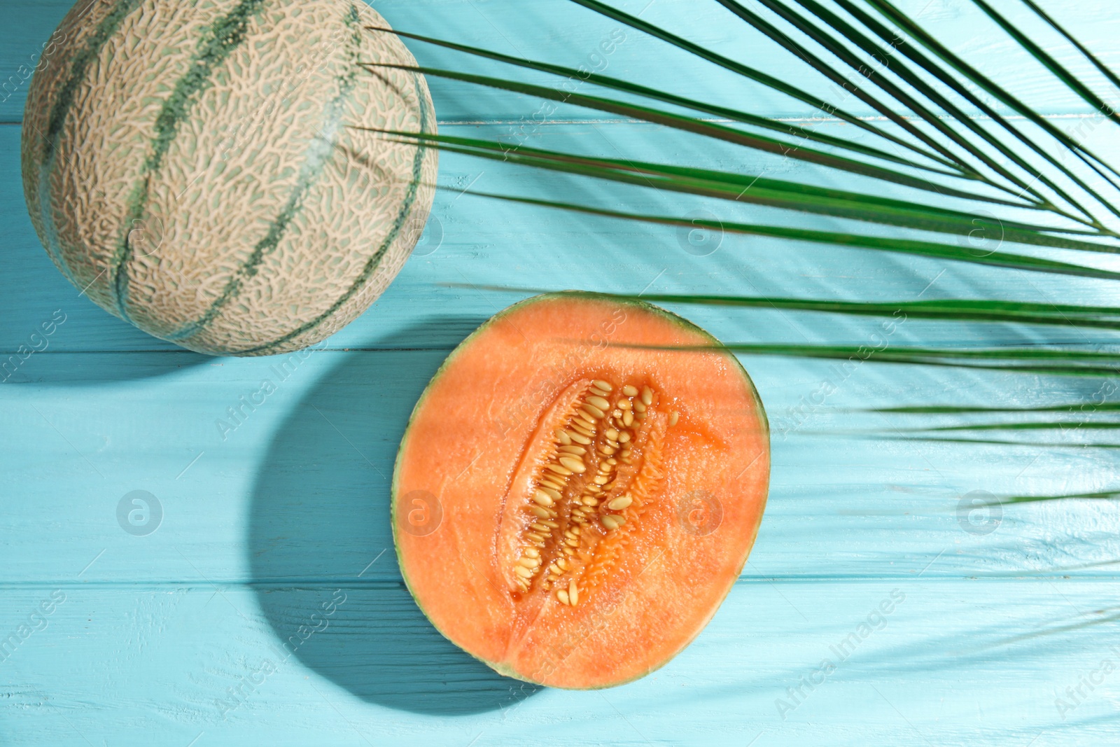 Photo of Tasty ripe cantaloupe melons and palm leaf on light blue wooden table, flat lay