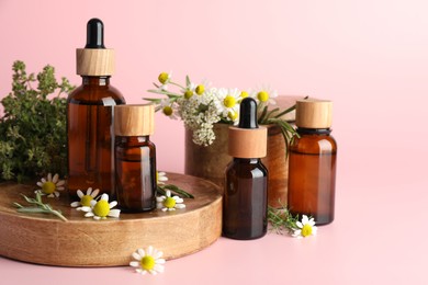 Photo of Aromatherapy. Different essential oils and flowers on pink background