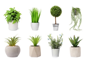 Set of artificial plants in flower pots isolated on white