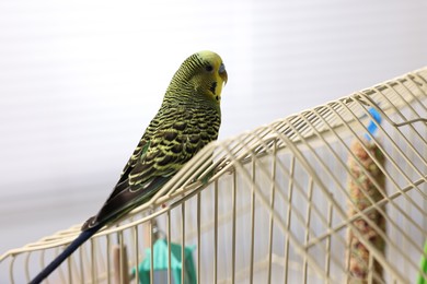 Photo of Beautiful bright parrot on cage indoors. Exotic pet