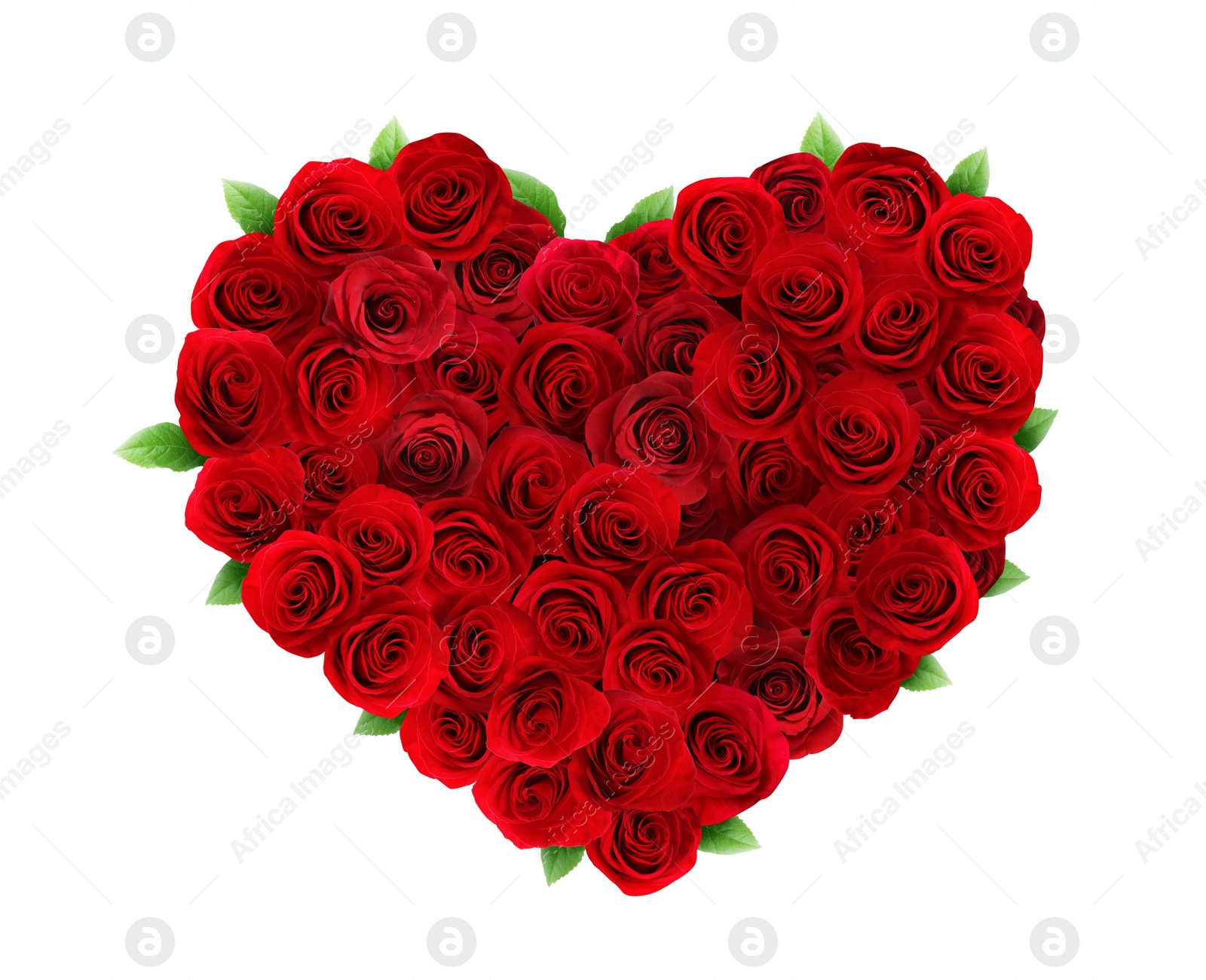 Image of Heart made of beautiful red roses on white background