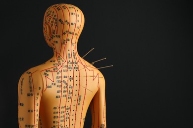 Photo of Acupuncture - alternative medicine. Human model with needles in back against black background, space for text