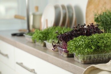 Different fresh microgreens in plastic containers on countertop in kitchen, space for text