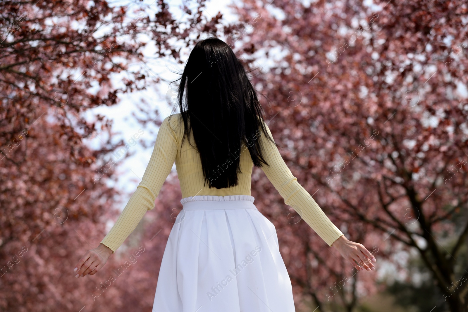 Photo of Young woman near beautiful blossoming trees outdoors, back view. Stylish spring look