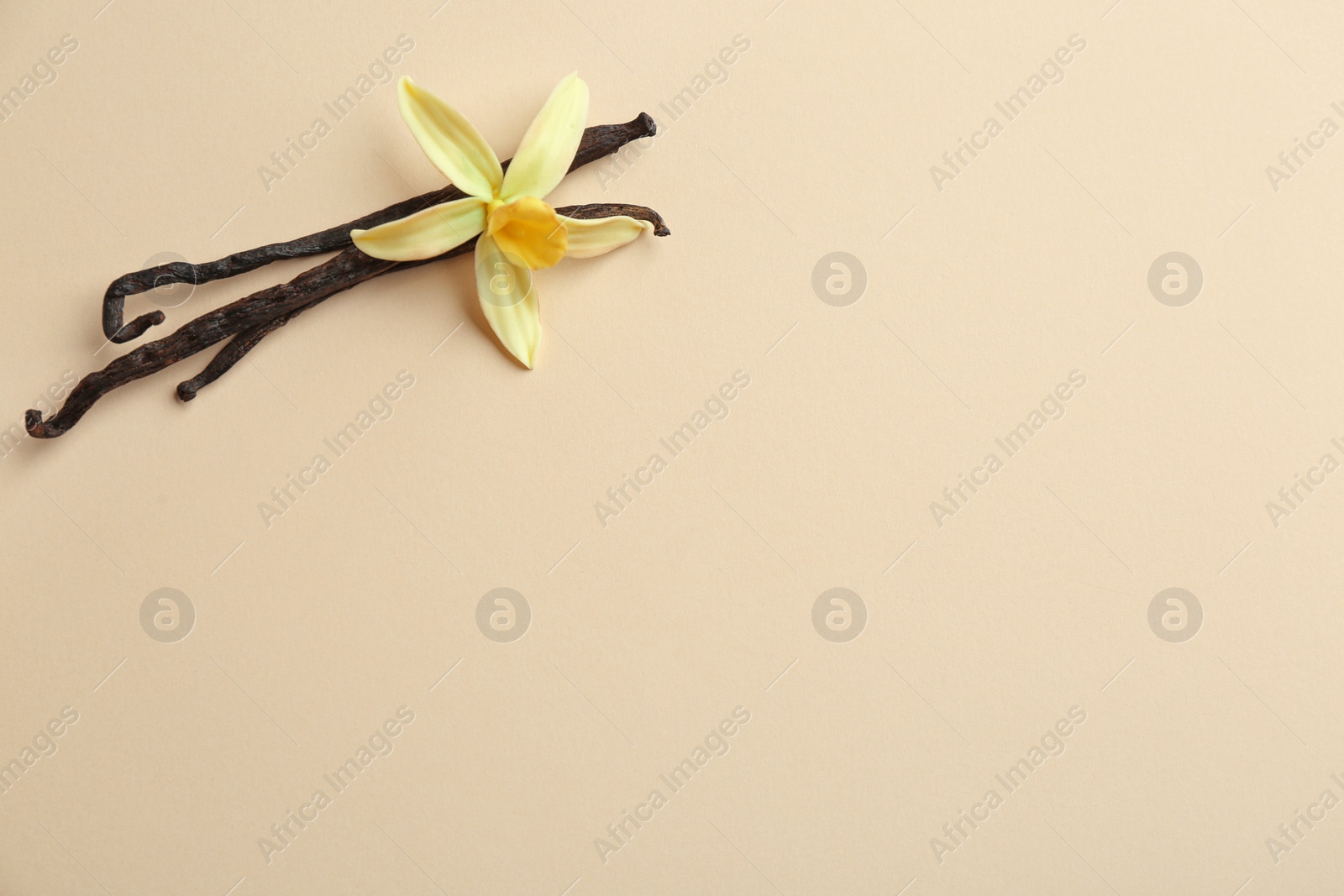 Photo of Flat lay composition with vanilla sticks and flower on color background. Space for text