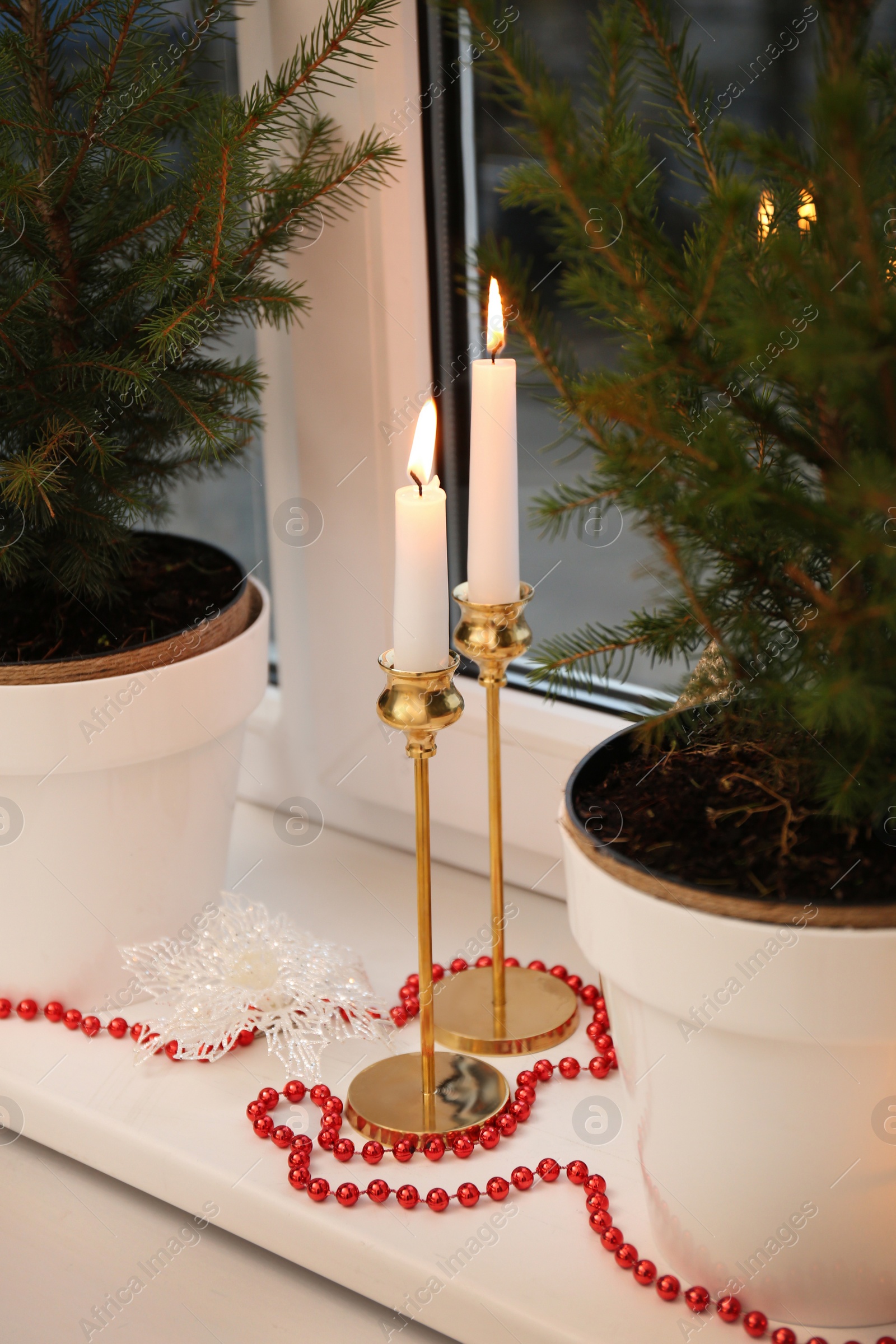 Photo of Small potted fir trees and burning candles on window sill indoors