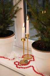 Small potted fir trees and burning candles on window sill indoors