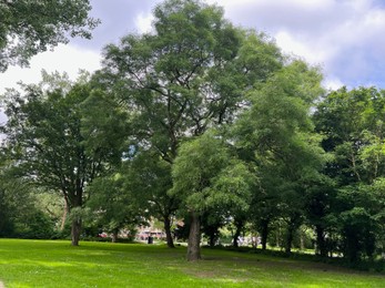 Photo of Beautiful view of green park on sunny day