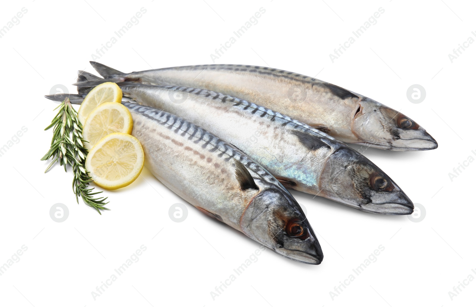 Photo of Raw mackerels, lemons and rosemary isolated on white