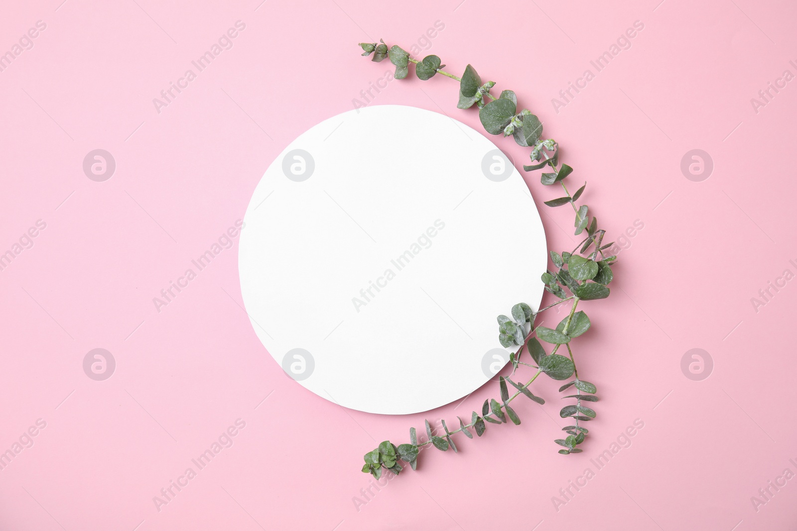 Photo of Fresh eucalyptus leaves and blank card with space for design on color background, top view