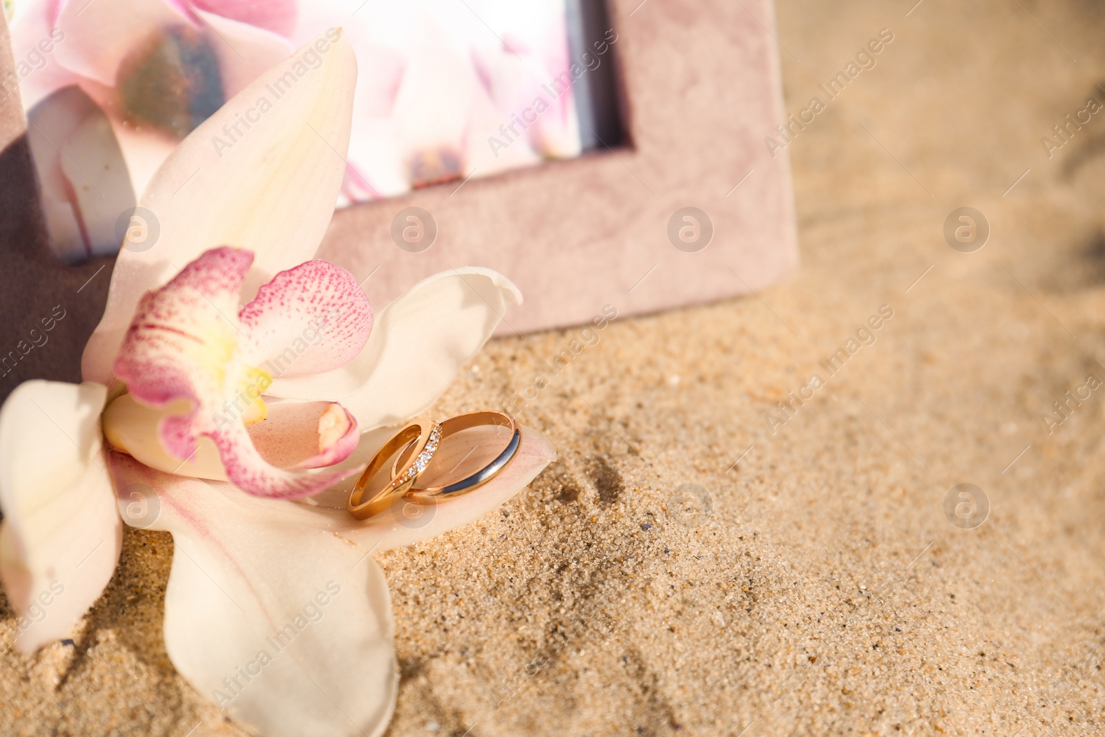 Photo of Beautiful flower with gold wedding rings on sandy beach, closeup