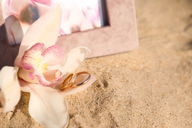 Photo of Beautiful flower with gold wedding rings on sandy beach, closeup