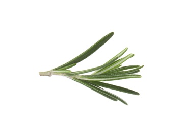 Photo of Fresh green rosemary leaves on white background