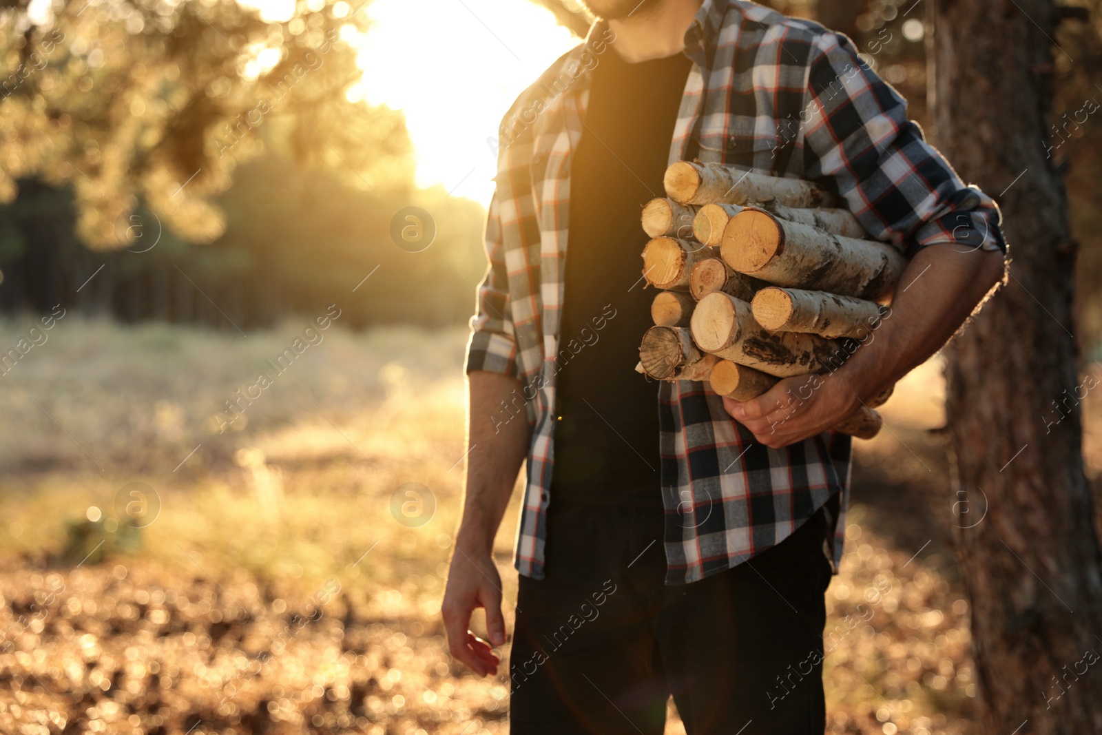 Photo of Man holding pile of cut firewood in forest, closeup