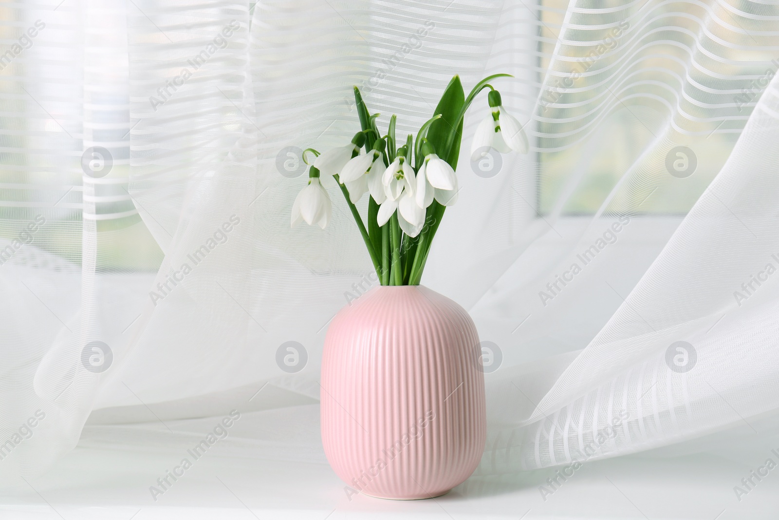 Photo of Beautiful snowdrops in vase on white wooden table indoors