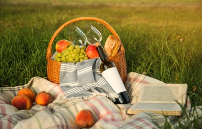 Picnic blanket with delicious food and wine on green grass