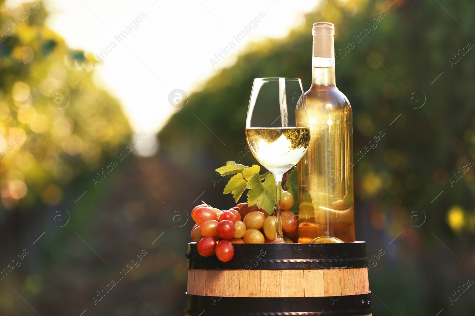 Photo of Composition with wine and ripe grapes on barrel outdoors. Space for text