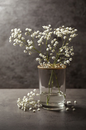 Gypsophila flowers in vase on table against grey background