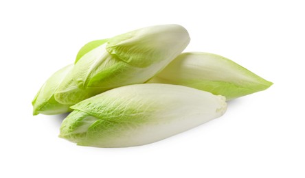 Photo of Raw ripe chicories on white background. Belgian endive