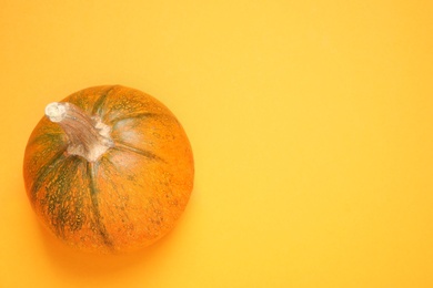 Photo of Fresh ripe pumpkin on orange background, top view with space for text. Holiday decoration