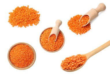 Image of Raw red lentils on white background, set