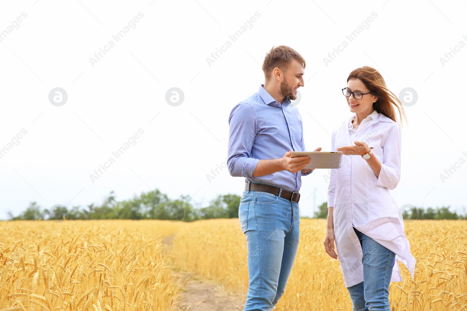 Photo of Young agronomists in grain field. Cereal farming