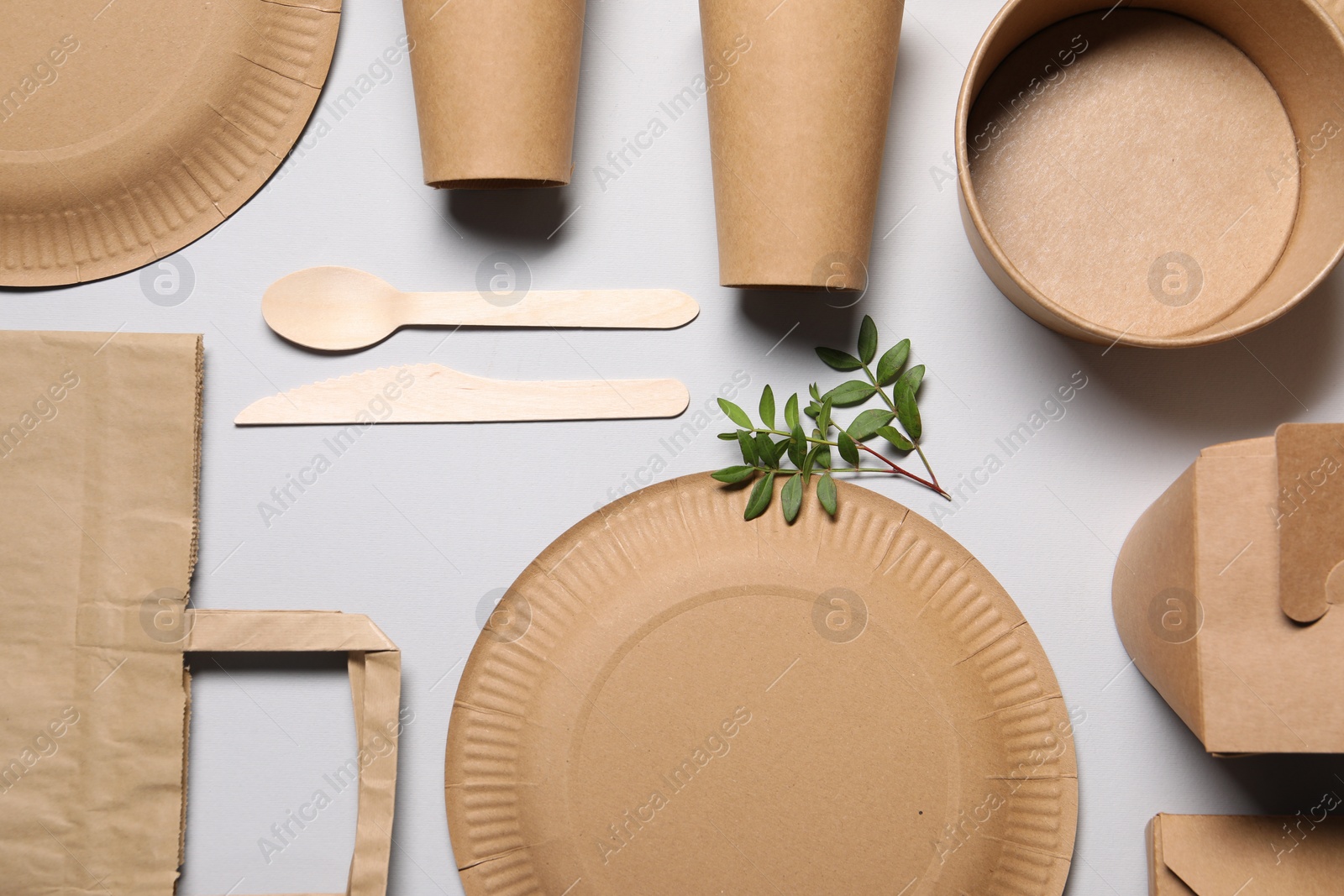 Photo of Flat lay composition with eco friendly food packagings and twig on light grey background