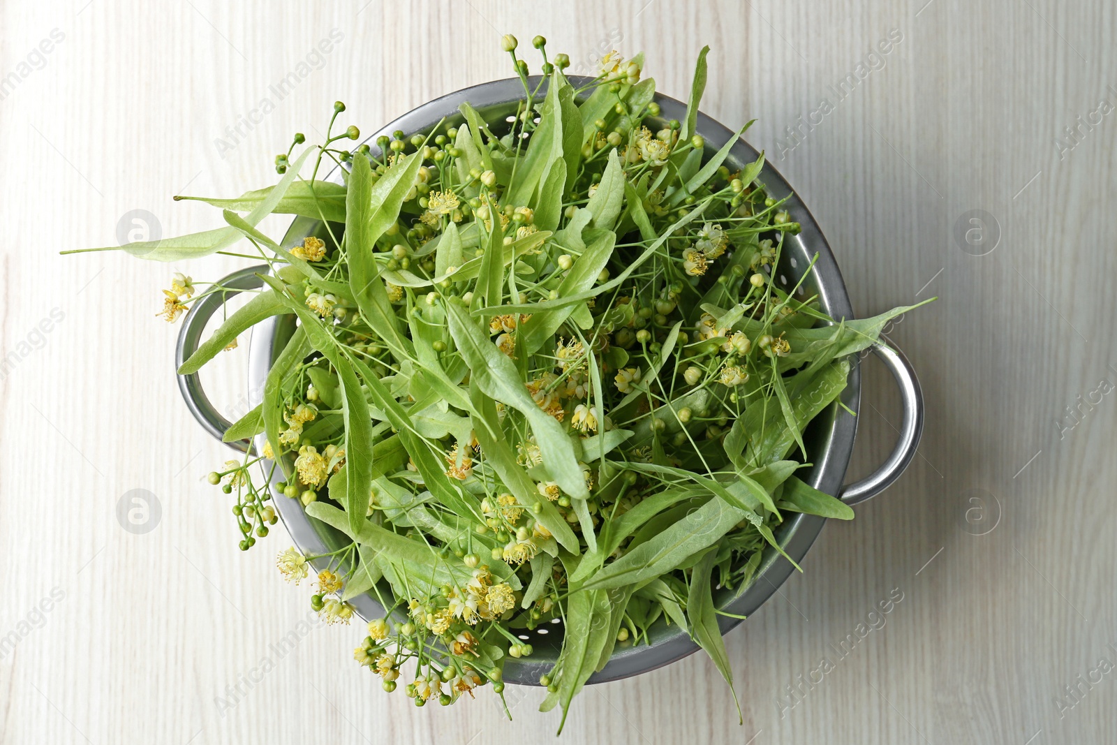 Photo of Beautiful linden blossoms and green leaves in colander on table, top view