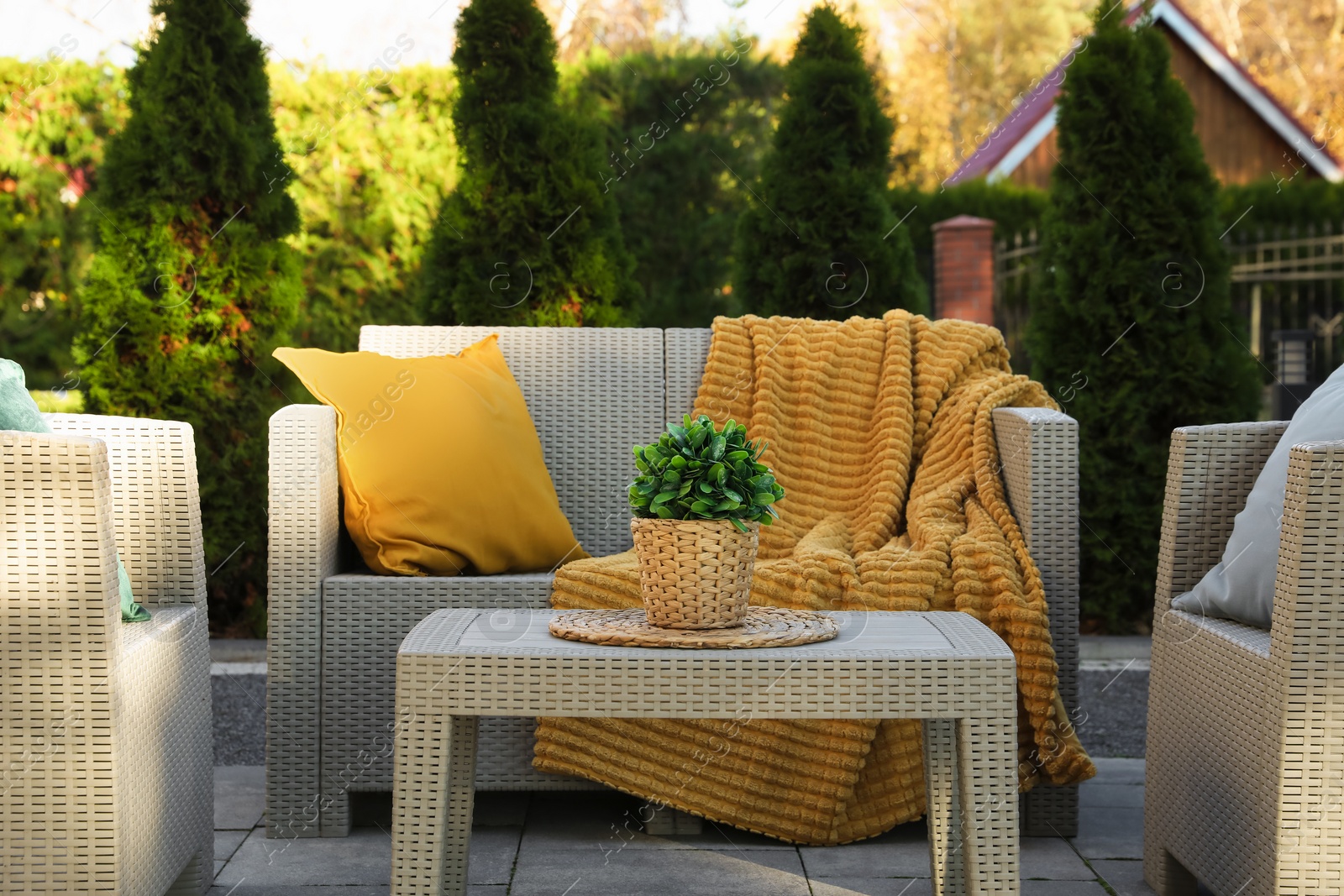 Photo of Beautiful rattan garden furniture, soft pillows, blanket and houseplant in backyard