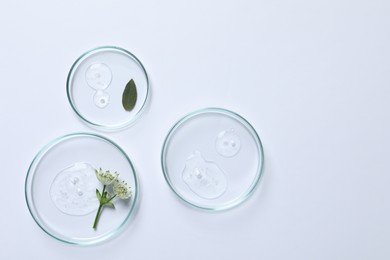 Photo of Petri dishes with samples of cosmetic oil and flowers on white background, flat lay. Space for text