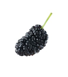 Photo of One ripe black mulberry on white background